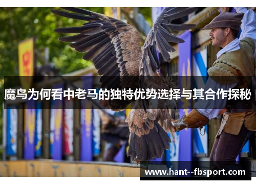 魔鸟为何看中老马的独特优势选择与其合作探秘