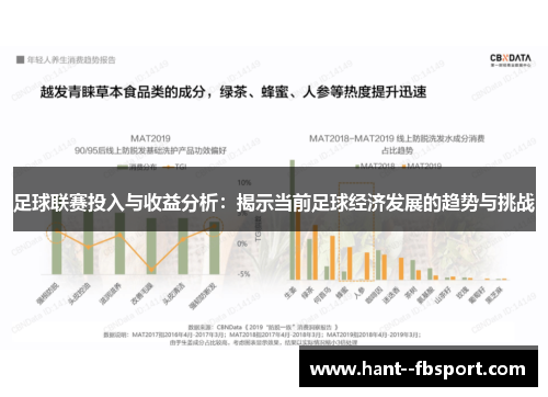 足球联赛投入与收益分析:揭示当前足球经济发展的趋势与挑战 足球联赛投入与收益分析:揭示当前足球经济发展的趋势与挑战